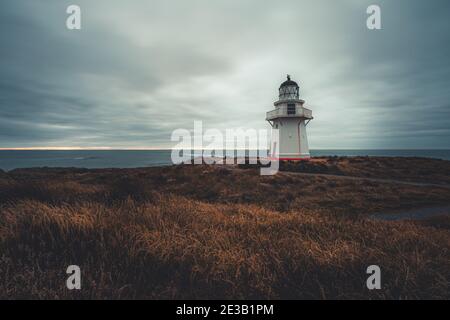 Phare sur la côte sauvage à Waipapa Pt, Southland, Nouvelle-Zélande Banque D'Images