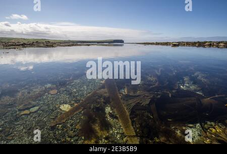 Vue de la chaussée menant au Brugueux de Birsay, Orkney, Écosse prise à marée basse en été Banque D'Images