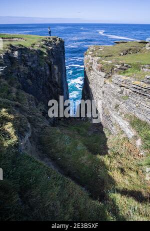 Une femme se tenant sur les falaises surplombant la mer sur la côte du brough de Birsay, Orkney, Écosse Banque D'Images