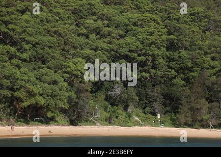 Lobster Beach, Parc national de Bouddi, Central Coast, Nouvelle-Galles du Sud, Australie. Banque D'Images