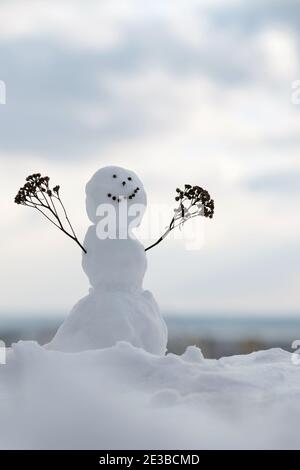 Bonhomme de neige heureux lors d'une journée d'hiver froide sur fond de ciel Banque D'Images