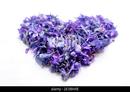 Composition florale sur fond blanc. Symbole coeur en bleu magnifique - fleurs lilas pétales gros plan. Fête des mères, Saint-Valentin, anniversaire c Banque D'Images