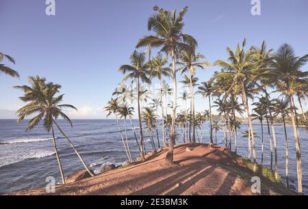 Plage tropicale avec palmiers à noix de coco au coucher du soleil, image colorée. Banque D'Images