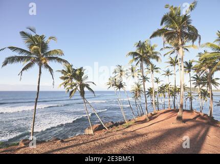 Plage tropicale avec palmiers à noix de coco au coucher du soleil, image colorée. Banque D'Images