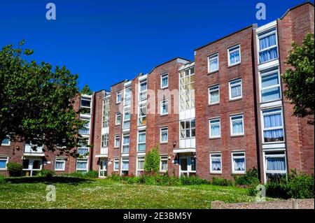 Nouveau conseil moderne logement de maisons mitoyennes et appartements en Angleterre Royaume-Uni, photo de stock image Banque D'Images