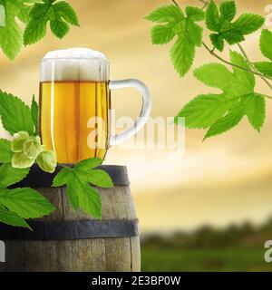 Composition de bière en verre sur baril avec plante de houblon, dans la campagne de coucher de soleil flou en arrière-plan Banque D'Images