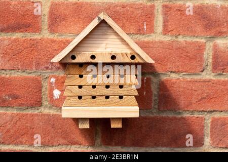 Une maison d'abeilles fixée à un mur de jardin Banque D'Images