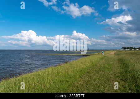 Paysage à l'embouchure du Weser, en arrière-plan le terminal de conteneurs de Bremerhaven, Fedderwardersiel, Basse-Saxe, Allemagne, Europe Banque D'Images