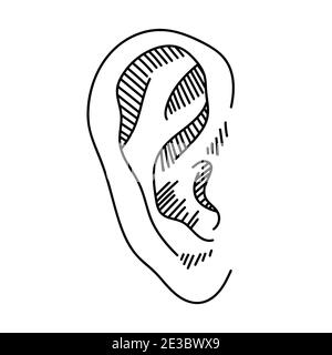 Symbole d'esquisse d'oreille dessiné à la main. Elément d'écoute vectoriel en style doodle, isolé sur blanc Illustration de Vecteur