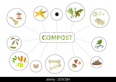 Compost de recyclage organique. Illustration du vecteur de déchets alimentaires recyclables. Illustration de Vecteur