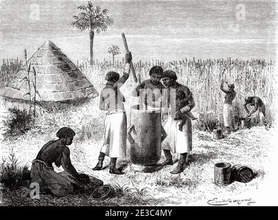 Les femmes écrasant le sorgho dans le village d'Unyamwezi, Tanzanie, Afrique. Vieux XIX siècle gravé du Tour du monde 1864 Banque D'Images