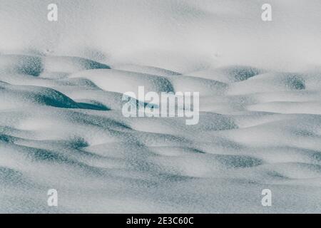 Douce neige douce et douce par temps froid. Paysage d'hiver avec champ couvert de neige Banque D'Images