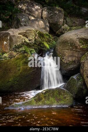 Cascades Padley gorge Peak District Derbyshire Angleterre, Royaume-Uni Banque D'Images