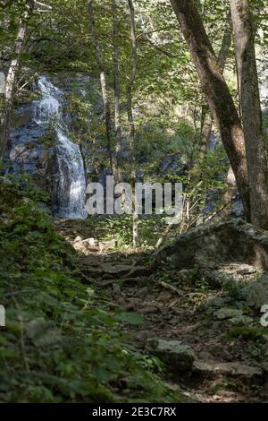 Jones Run Falls au sommet d'un sentier en montée Banque D'Images