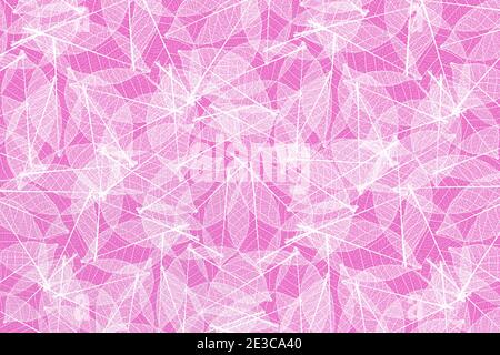 Squelettes de feuilles blanches sur fond rose pâle Banque D'Images