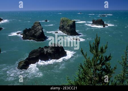 Vue depuis le point de vue d'Arch Rock, le parc national Samuel Boardman, Oregon Banque D'Images