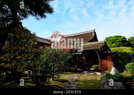 Osmanthus fragrans aurantiacus fleurit dans le 8ème mois lunaire remplit les jardins japonais avec une exquise odeur. Banque D'Images