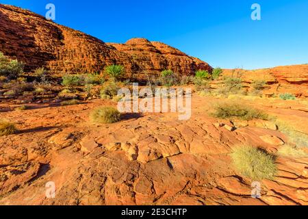 Les dômes pittoresques en grès ont appelé Lost City au début du plateau de Kings Canyon dans le parc national de Watarrka, en Australie centrale. Site d'attraction emblématique de Banque D'Images