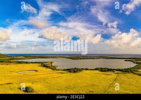 L'étang des Salines est situé dans le sud de la Martinique et est un site Ramsar depuis le 15 septembre 2008. Banque D'Images