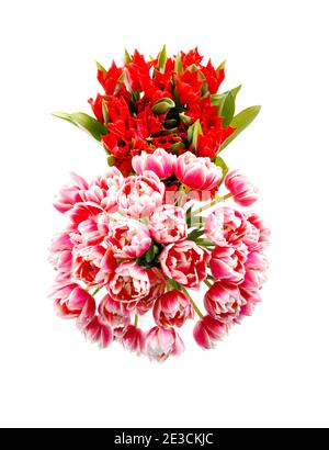Deux bouquets de tulipes rouges et roses dans le forme du numéro 8 Banque D'Images