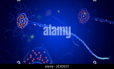 Anatomie des cellules nerveuses du cerveau pour le concept médical Illustration 3D Banque D'Images