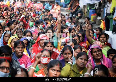 Kolkata, Inde. 18 janvier 2021. Une foule de femmes de plusieurs organisations féminines scandent des slogans pendant la manifestation. Plusieurs organisations de femmes comme AIDWA (All India Democratic Women's Association), AIPWA (All India progressive Women's Association) et AIKSCC (All India Kissan Sangharsh coordination Committee) ont organisé des manifestations et ont défilé dans tout le pays en prévision de la journée de la République cette année, Exprimer sa solidarité avec les protestations des agriculteurs contre le gouvernement indien a imposé de nouvelles lois agricoles à la frontière de Singhu, Delhi. Crédit : SOPA Images Limited/Alamy Live News Banque D'Images