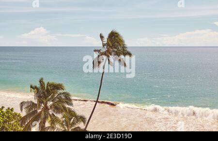 Plage tropicale avec palmiers à noix de coco, image colorée. Banque D'Images