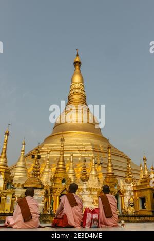 Méditation matinale dans la Pagode Shwedagon, la Pagode d'or à Yangon. C'est la pagode bouddhiste la plus sacrée de Myanmar.Monks et nonnes dans un monastère Banque D'Images