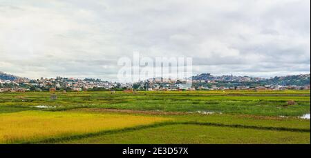 Paysage typique de Madagascar par jour couvert nuageux - personnes travaillant dans des champs de riz humides en premier plan, maisons sur de petites collines de la banlieue d'Antananarivo Banque D'Images