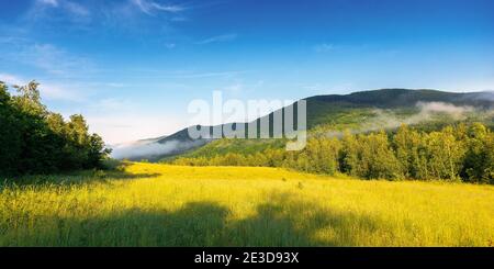 prairie herbacée en montagne. brouillard traversant la vallée au-dessus de la forêt éloignée. magnifique paysage rural le matin d'été. temps ensoleillé wi Banque D'Images