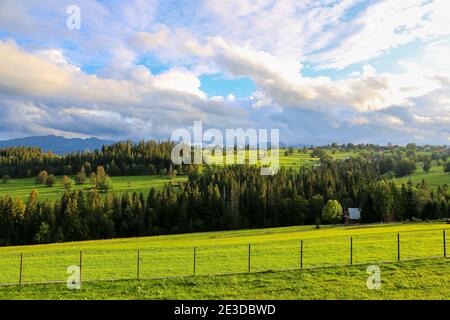 Prairies verdoyantes et forêts campagne paysage avec montagnes Tatra en arrière-plan et ciel nuageux spectaculaire, vu de Poronin en Pologne. Banque D'Images