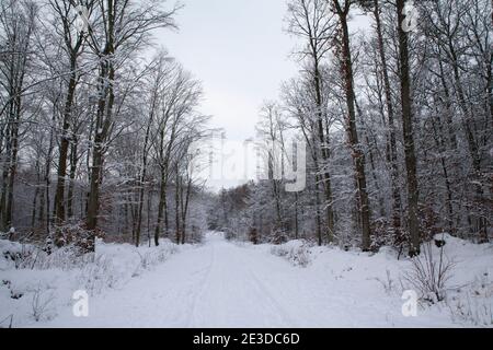 L'air froid de Sibérie couvre la Pologne dans la neige lourde et voit Banque D'Images