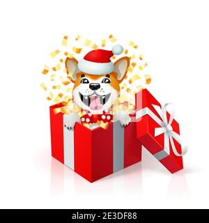 Bonne bande dessinée chiot dans boîte cadeau portant chapeau santas. Portrait du chien japonais Akita inu en 2018 symbole de la nouvelle année. Carte de la nouvelle année. Affiche de Noël avec Illustration de Vecteur