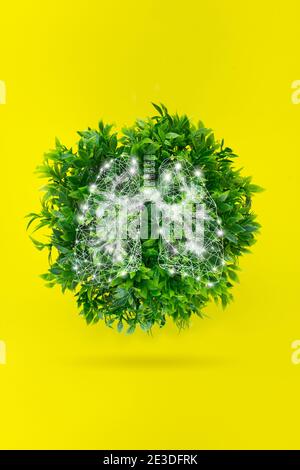 Globe terrestre, en herbe verte avec poumons hologrammes. Le concept de préservation de la planète verte planète écologique Banque D'Images