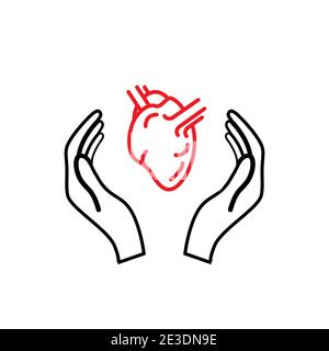 Les mains tiennent un cœur anatomique, icône de contour de concept de santé isolée sur blanc Illustration de Vecteur