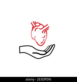 Main tenir un coeur anatomique, concept de santé icône de contour isolée sur blanc Illustration de Vecteur