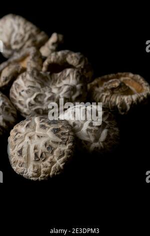 Branchies de champignons shiitake séchées gros plan. Banque D'Images