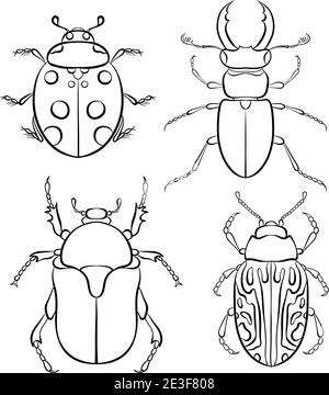 Illustration vectorielle avec des insectes. Défini dans le style art au trait isolé sur fond blanc. Coccinelle, dendroctone du pin, dendroctone du pin, calligraphe serpentina. Page de livre de coloriage Illustration de Vecteur