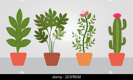 Plantes en pot dessinées à la main Illustration de Vecteur