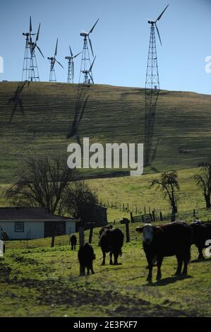 Vue de Shiloh II Wind Project à Rio Vista, Californie, États-Unis, le 9 janvier 2009. La centrale éolienne Shiloh est un parc éolien qui comprend maintenant des centaines d'éoliennes. Photo de Lionel Hahn/ABACAPRESS.COM Banque D'Images