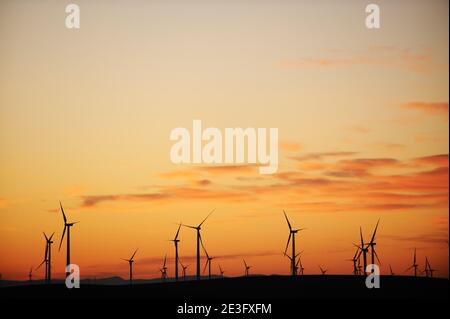 Vue de Shiloh II Wind Project à Rio Vista, Californie, États-Unis, le 9 janvier 2009. La centrale éolienne Shiloh est un parc éolien qui comprend maintenant des centaines d'éoliennes. Photo de Lionel Hahn/ABACAPRESS.COM Banque D'Images