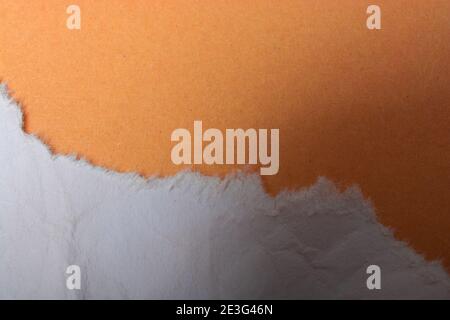 Morceau de papier déchiré sur fond uni Banque D'Images