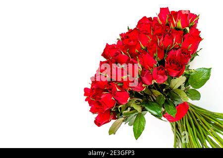 Bouquet de roses rouges sur fond blanc pour la Saint-Valentin. Banque D'Images