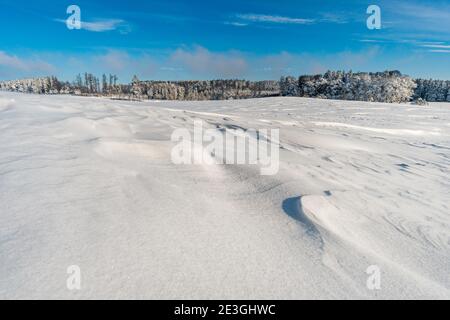 Fantastique excursion en raquettes dans les merveilles hivernales du Gehrenberg Près du lac de Constance Banque D'Images