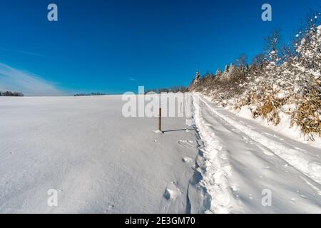 Fantastique excursion en raquettes dans les merveilles hivernales du Gehrenberg Près du lac de Constance Banque D'Images