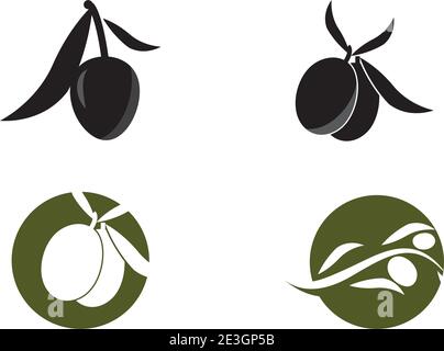 Définir le modèle de conception d'illustration vectorielle d'icône olive Illustration de Vecteur