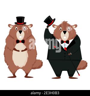 Marmotte Sur Un Fond Blanc Image Vectorielle Stock Alamy