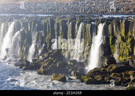 Selfoss, Wasserfall auf Island, Wasserfall des Flusses Jökulsá á Fjöllum Gletscherfluß, Gletscherfluss, Jökulsárgljúfur-Nationalpark, Schlucht Jökulsá Banque D'Images