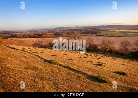 Lumière matinale à CLEY Hill, vue sur Wiltshire Banque D'Images