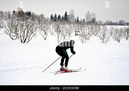 Homme ou garçon skieur ski de fond nordique sur une piste dans un magnifique paysage d'hiver en hiver dans un parc, sports de plein air, mode de vie sain Banque D'Images